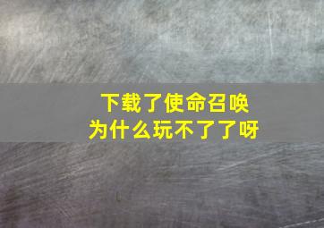 下载了使命召唤为什么玩不了了呀