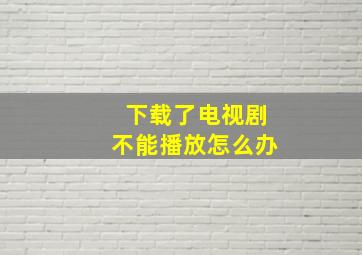 下载了电视剧不能播放怎么办