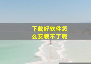 下载好软件怎么安装不了呢