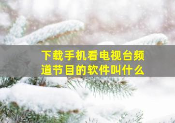 下载手机看电视台频道节目的软件叫什么