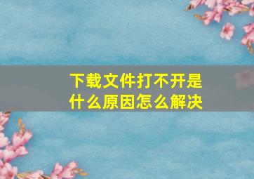 下载文件打不开是什么原因怎么解决