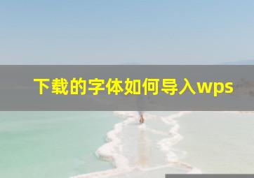 下载的字体如何导入wps