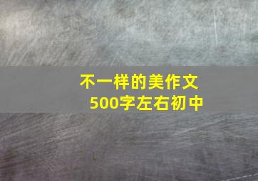 不一样的美作文500字左右初中