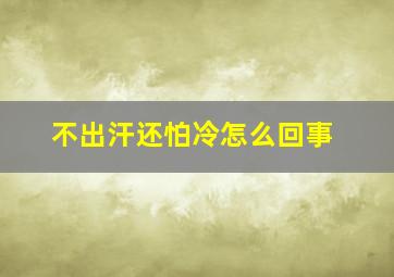 不出汗还怕冷怎么回事