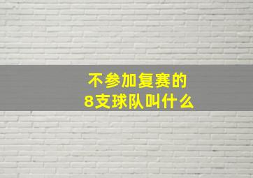 不参加复赛的8支球队叫什么