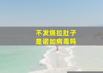 不发烧拉肚子是诺如病毒吗