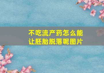 不吃流产药怎么能让胚胎脱落呢图片