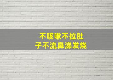 不咳嗽不拉肚子不流鼻涕发烧