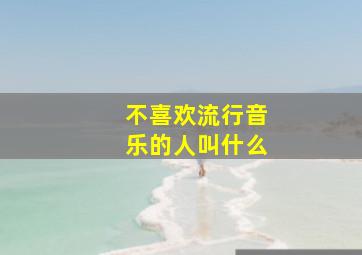 不喜欢流行音乐的人叫什么