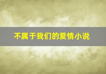 不属于我们的爱情小说