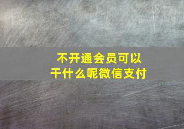 不开通会员可以干什么呢微信支付