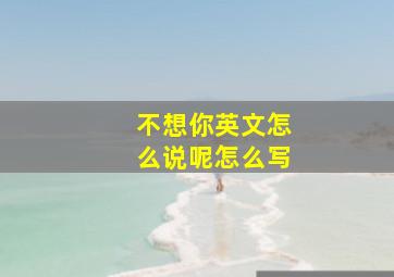 不想你英文怎么说呢怎么写