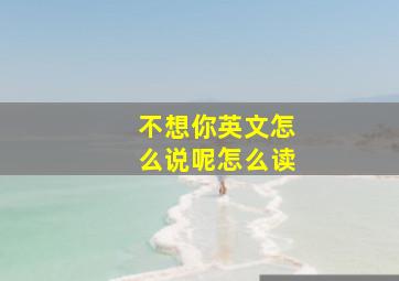 不想你英文怎么说呢怎么读