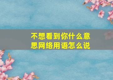 不想看到你什么意思网络用语怎么说