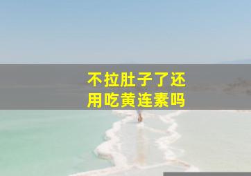 不拉肚子了还用吃黄连素吗