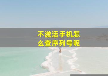 不激活手机怎么查序列号呢