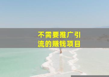 不需要推广引流的赚钱项目