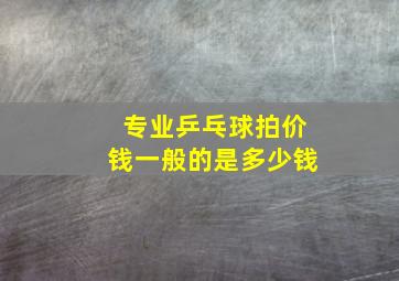 专业乒乓球拍价钱一般的是多少钱