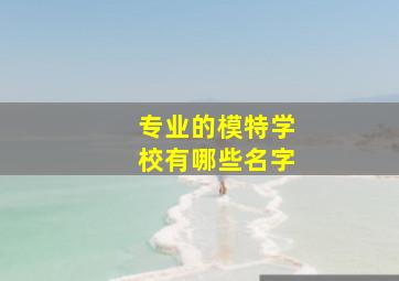 专业的模特学校有哪些名字