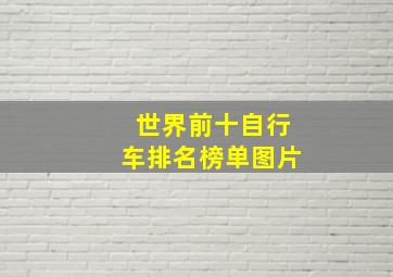 世界前十自行车排名榜单图片