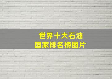 世界十大石油国家排名榜图片