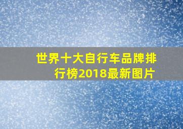 世界十大自行车品牌排行榜2018最新图片