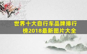 世界十大自行车品牌排行榜2018最新图片大全