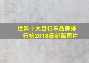 世界十大自行车品牌排行榜2018最新版图片