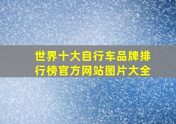 世界十大自行车品牌排行榜官方网站图片大全