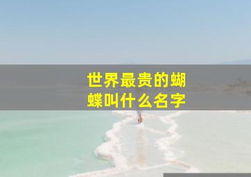 世界最贵的蝴蝶叫什么名字