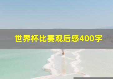 世界杯比赛观后感400字