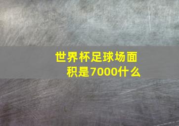 世界杯足球场面积是7000什么