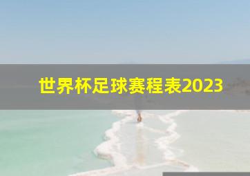 世界杯足球赛程表2023