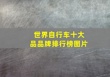 世界自行车十大品品牌排行榜图片