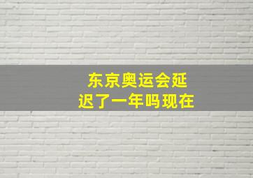 东京奥运会延迟了一年吗现在