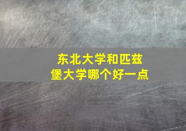 东北大学和匹兹堡大学哪个好一点