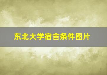 东北大学宿舍条件图片