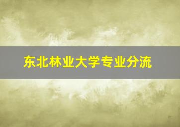 东北林业大学专业分流