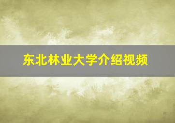 东北林业大学介绍视频