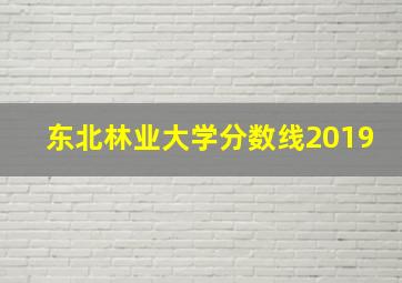 东北林业大学分数线2019