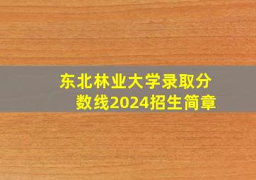 东北林业大学录取分数线2024招生简章