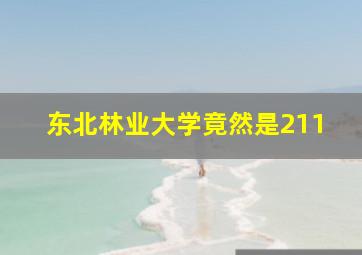 东北林业大学竟然是211