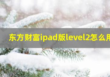 东方财富ipad版level2怎么用