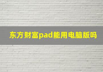 东方财富pad能用电脑版吗