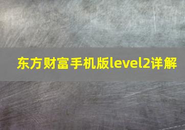 东方财富手机版level2详解