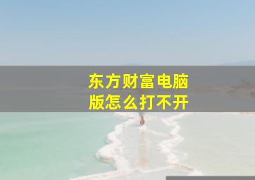 东方财富电脑版怎么打不开