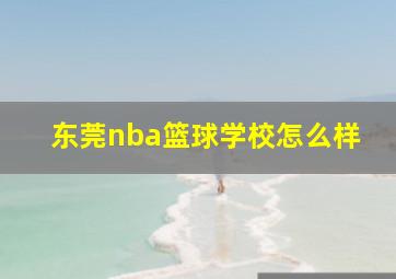 东莞nba篮球学校怎么样