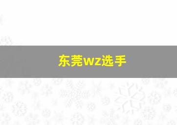 东莞wz选手