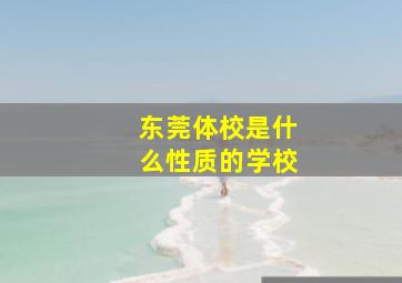 东莞体校是什么性质的学校