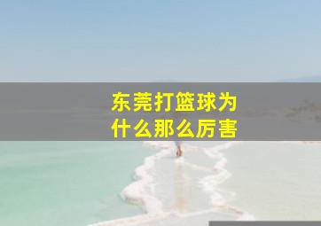 东莞打篮球为什么那么厉害